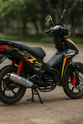 Moto Fenix